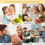 Gifts for Women Jewelry Sets, 4 Pieces Rose Gold Women's Watch Necklace Earring Bracelet Birthday Gifts for Women's Jewelry Sets for Women Gift for Wife Girlfriend Her Birthday...