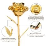 Gold Dipped Rose Real 24K Gold Rose, Genuine One of a Kind Rose Hand Dipped in 24K Golden Roses Romantic Gifts for Women in Her Birthday Anniversary Valentines Day Mothers Day