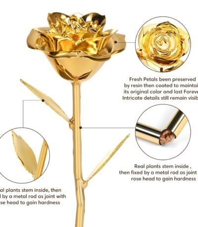 Gold Dipped Rose Real 24K Gold Rose, Genuine One of a Kind Rose Hand Dipped in 24K Golden Roses Romantic Gifts for Women in Her Birthday Anniversary Valentines Day Mothers Day