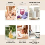 EUQEE 10ml Natural Plant Essential Oil with Dropper For Diffuser Humidifier Lavender Jasmine Eucalyptus Vanilla Essential Oils - Image 4