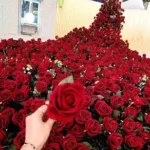 1/5/10/20pcs Roses Artificial Flowers Rose Flower Branch Artificial Red Roses Realistic Fake Rose for Wedding Home Decor - Image 11