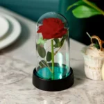 Eternal Red Rose Artificial Flowers with LED Light Creative Valentine's Day Gift Rose in Glass Cover Simulation Rose Flower - Image 11