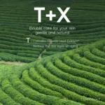 5pcs/box Skin Care Set Green Tea Facial Cleaner Soothes Skin Face Toner tea Serum Moisturizing Cream Repairing Eye Cream Kits - Image 2