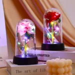Eternal Red Rose Artificial Flowers with LED Light Creative Valentine's Day Gift Rose in Glass Cover Simulation Rose Flower - Image 9