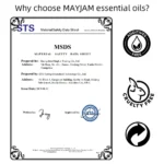 MAYJAM with Dropper 10ml Essential Oil For Humidifier Diffusers Lavender Eucalyptus Vanilla Sandalwood Camphor Aromatic Oil Gift - Image 6