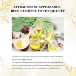 EUQEE 10ml Natural Plant Essential Oil with Dropper For Diffuser Humidifier Lavender Jasmine Eucalyptus Vanilla Essential Oils - Image 6